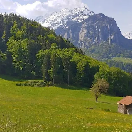 Apartment Wohnung Mit 3 Schlafzimmern “Wylerduemen” By Interhome * انترتكيرشن