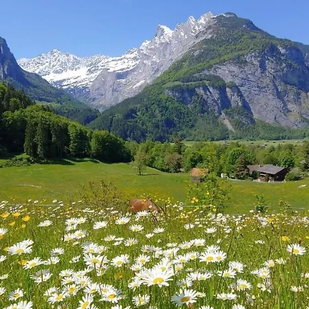 Apartment Wohnung Mit 3 Schlafzimmern “Wylerduemen” By Interhome انترتكيرشن