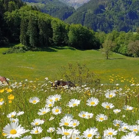 Apartment Wohnung Mit 3 Schlafzimmern “Wylerduemen” By Interhome شقة *