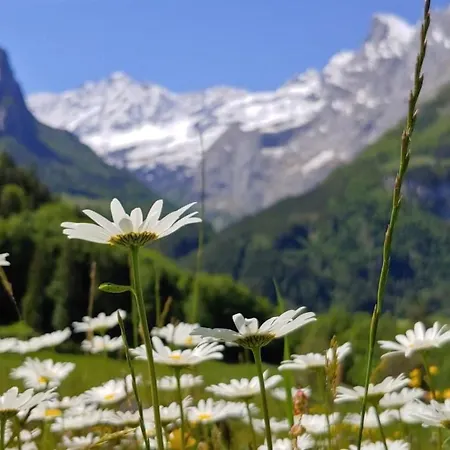 Apartment Wohnung Mit 3 Schlafzimmern “Wylerduemen” By Interhome شقة *