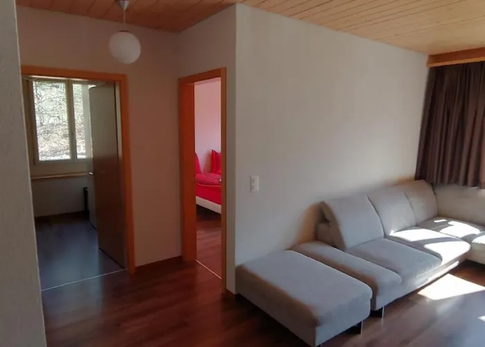 Apartment Wohnung Mit 3 Schlafzimmern “Wylerduemen” By Interhome * 인너트키르헨