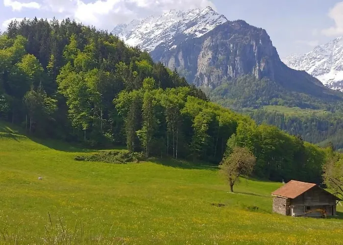 Apartment Wohnung Mit 3 Schlafzimmern “Wylerduemen” By Interhome * 인너트키르헨