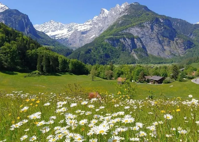 Apartment Wohnung Mit 3 Schlafzimmern “Wylerduemen” By Interhome 인너트키르헨