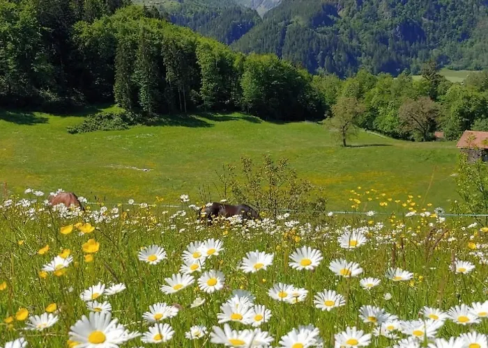 Mit 3 Schlafzimmern “wylerduemen” By Interhome Lejlighed *