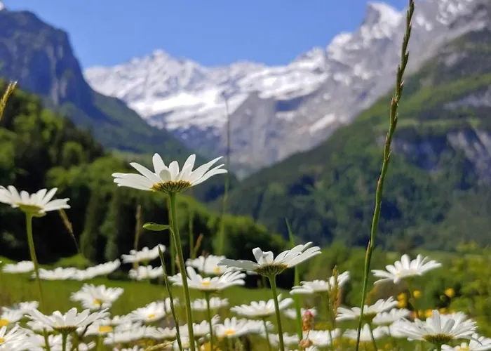 Mit 3 Schlafzimmern “wylerduemen” By Interhome דירה *